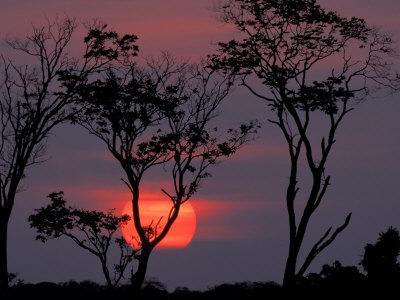Amazonia Sunset - Photographic Print, 12x9