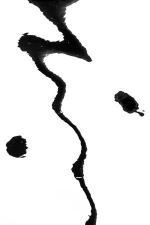 Astoria - Photographic Print, 8x12