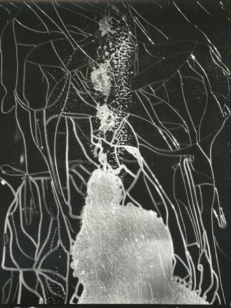 Broken Car Window, California, 1937 - Photographic Print, 12x16