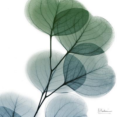 Dull Eucalyptus - Wall Art Print, 16x16