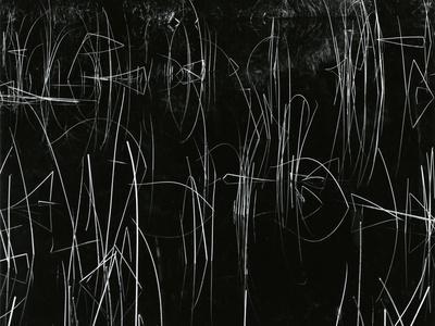 Reeds, Oregon, 1975 - Photographic Print, 12x9