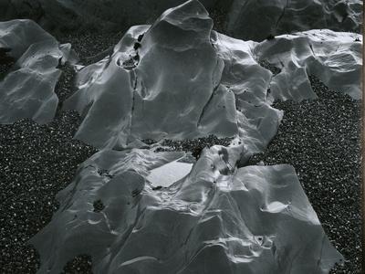 Rock and Pebbles, Pebble Beach, California, c.1968 - Photographic Print, 12x9