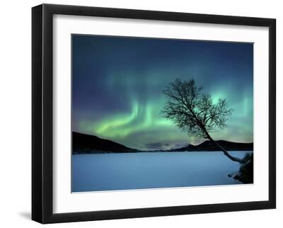 Aurora Borealis over Sandvannet Lake in Troms County, Norway - Black Framed Art Print Wall Art, 16x12 Aurora Borealis over Sandvannet Lake in Troms County, Norway - Black Framed Art Print Wall Art, 16x12