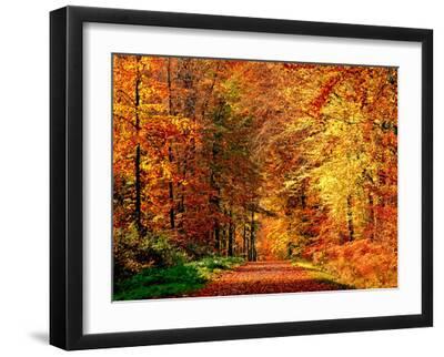 Autumn Way - Black Framed Art Print Wall Art, 16x12 Autumn Way - Black Framed Art Print Wall Art, 16x12