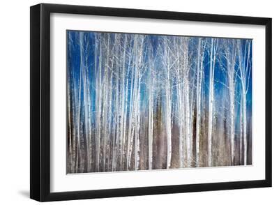 Birches in Spring - Black Framed Art Print Wall Art, 18x12