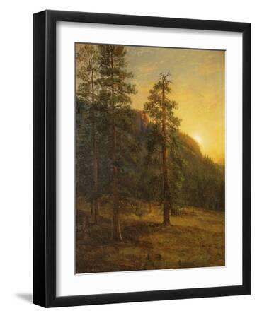 California Redwoods, 1872 - Black Framed Art Print Wall Art, 12x16