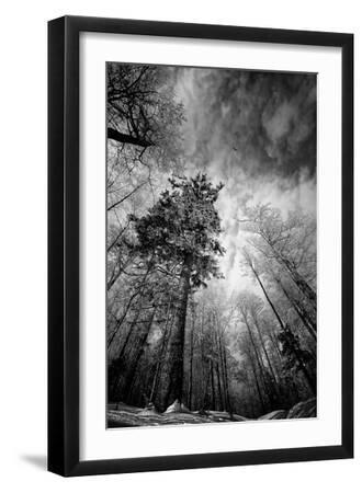 Cold Vision - Black Framed Art Print Wall Art, 12x18