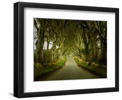 Dark Hedges Road through Old Trees - Black Framed Art Print Wall Art, 12x9