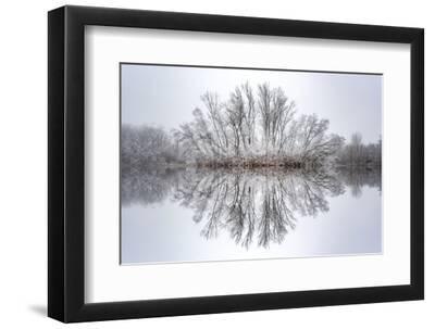 Equanimity - Black Framed Art Print Wall Art, 12x8