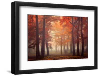 Feel - Black Framed Art Print Wall Art, 12x8