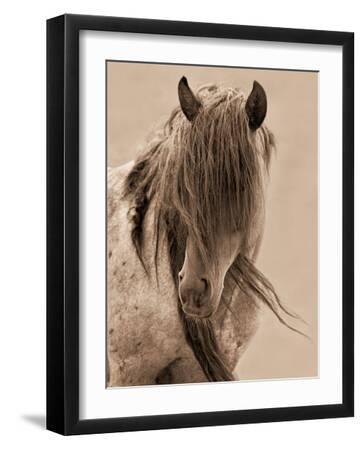 Freedom - Black Framed Art Print Wall Art, 12x16