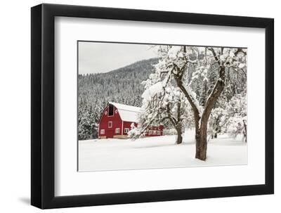 Fresh Snow on Red Barn Near Salmo, British Columbia, Canada - Black Framed Art Print Wall Art, 12x8