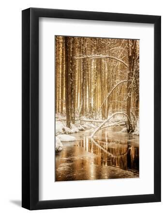 Heart of Gold - Black Framed Art Print Wall Art, 8x12