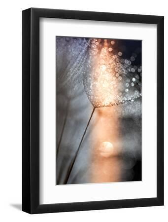 In My Winter Window - Black Framed Art Print Wall Art, 8x12