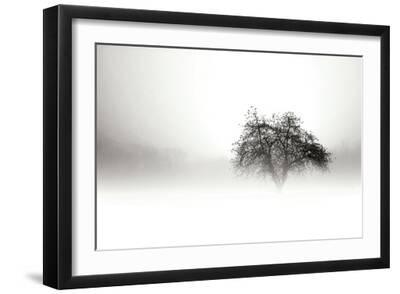 In the Mist I - Black Framed Art Print Wall Art, 18x12