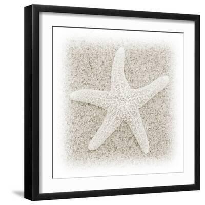 In the Sand V - Black Framed Art Print Wall Art, 16x16