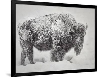 In the Storm - Black Framed Art Print Wall Art, 48x36