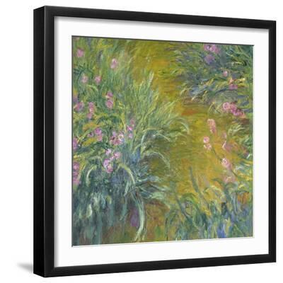 Iris - Black Framed Art Print Wall Art, 16x16