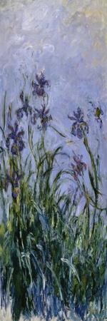 Iris Mauves, 1914-1917 - Giclee Print, 12x36
