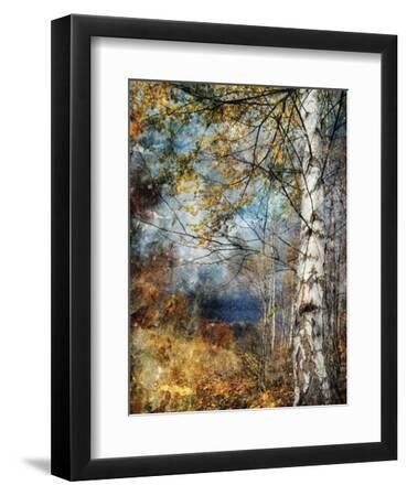 Kootenay Fall - Black Framed Art Print Wall Art, 9x12