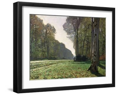 Le Pavé de Chailly (forêt de Fontainebleau) - Black Framed Art Print Wall Art, 16x12