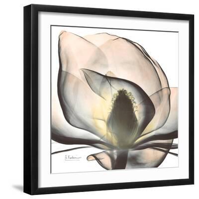 Magnolia Beauty - Black Framed Art Print Wall Art, 16x16 Magnolia Beauty - Black Framed Art Print Wall Art, 16x16