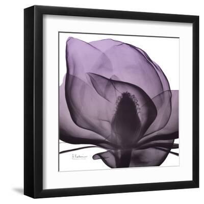 Magnolia Wine Beauty - Black Framed Art Print Wall Art, 12x12 Magnolia Wine Beauty - Black Framed Art Print Wall Art, 12x12