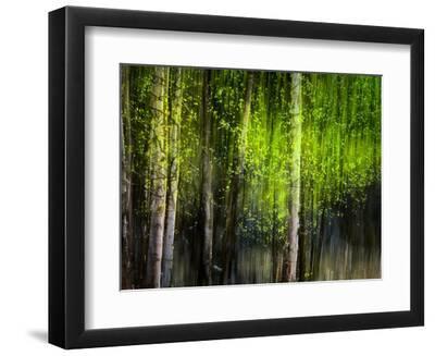 Matrix - Black Framed Art Print Wall Art, 12x9 Matrix - Black Framed Art Print Wall Art, 12x9