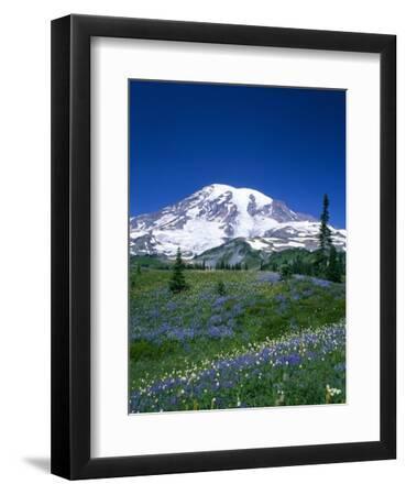 Mount Rainier and Wildflower Meadow - Black Framed Art Print Wall Art, 9x12