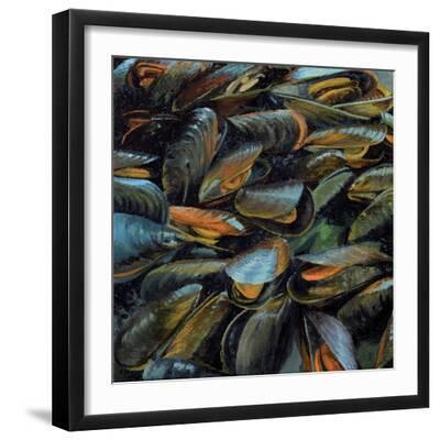 Mussels, 2014 - Black Framed Art Print Wall Art, 16x16