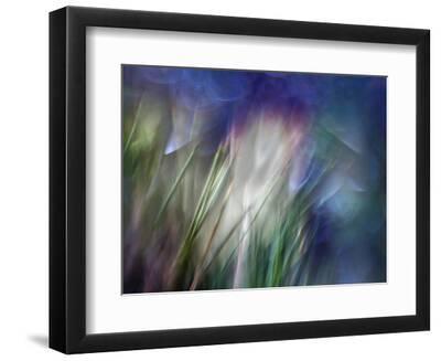 Needles - Black Framed Art Print Wall Art, 12x9 Needles - Black Framed Art Print Wall Art, 12x9
