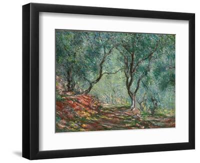 Olive Trees in the Moreno Garden; Bois D'oliviers Au Jardin Moreno, 1884 (Oil on Canvas) - Black Framed Art Print Wall Art, 12x9