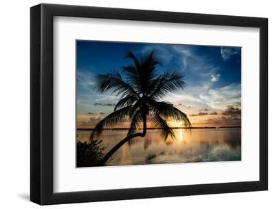 Palm Paradise at Sunset - Florida - USA - Black Framed Art Print Wall Art, 12x8