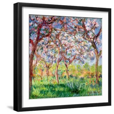 Printemps a Giverny, 1903 - Black Framed Art Print Wall Art, 12x16