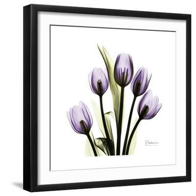 Purple Tulip Square - Black Framed Art Print Wall Art, 16x16 Purple Tulip Square - Black Framed Art Print Wall Art, 16x16