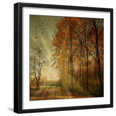 Ray Fall - Black Framed Art Print Wall Art, 16x16 Ray Fall - Black Framed Art Print Wall Art, 16x16