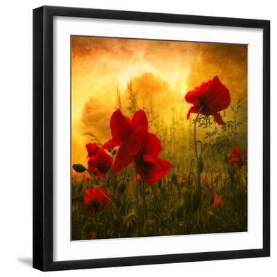 Red for Love - Black Framed Art Print Wall Art, 16x16 Red for Love - Black Framed Art Print Wall Art, 16x16