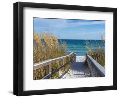 Sandy Boardwalk Path to a Snow White Beach on the Gulf of Mexico with Ripe Sea Oats in the Dunes - Black Framed Art Print Wall Art, 12x9
