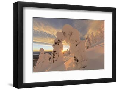 Snow Ghosts in the Whitefish Range, Montana, USA - Black Framed Art Print Wall Art, 12x8