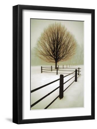 Solitude - Black Framed Art Print Wall Art, 16x20