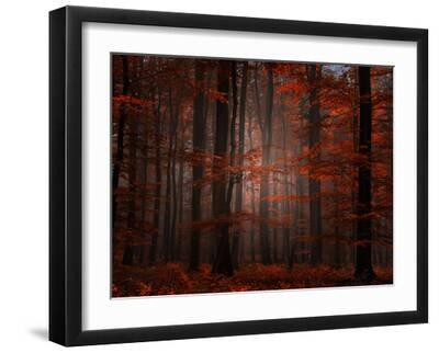 Spiritual Wood - Black Framed Art Print Wall Art, 16x12