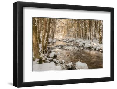 Stolen Beauty - Black Framed Art Print Wall Art, 12x8