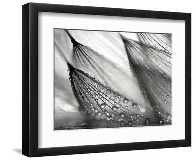 Sweeping in the Rain - Black Framed Art Print Wall Art, 12x9