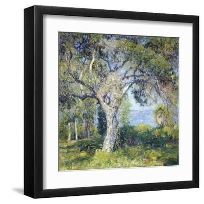The Oak - Black Framed Art Print Wall Art, 12x12