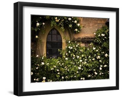 the Window 3 - Black Framed Art Print Wall Art, 16x12