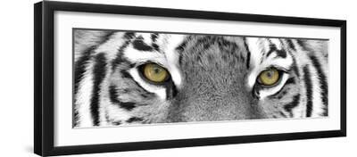 Tiger - Black Framed Art Print Wall Art, 24x8