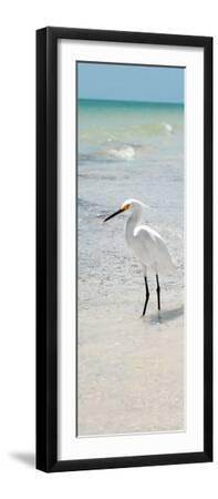 White Heron - Florida - Black Framed Art Print Wall Art, 8x24 White Heron - Florida - Black Framed Art Print Wall Art, 8x24