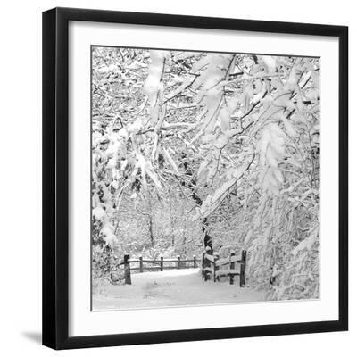 Winter Wonderland - Black Framed Art Print Wall Art, 16x16