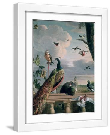 Palace of Amsterdam with Exotic Birds - White Framed Art Print Wall Art, 12x16 Palace of Amsterdam with Exotic Birds - White Framed Art Print Wall Art, 12x16